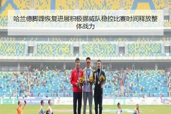 哈兰德脚踝恢复进展积极挪威队稳控比赛时间释放整体战力