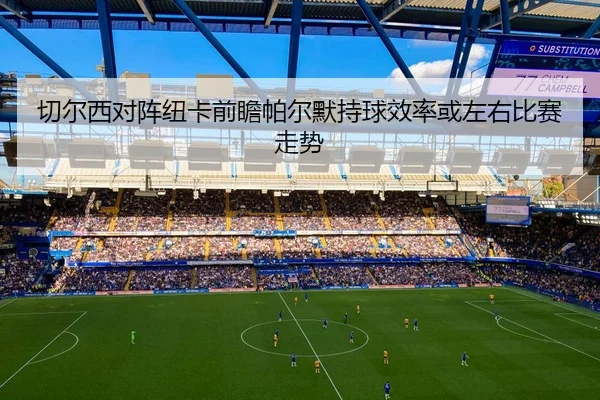 切尔西对阵纽卡前瞻帕尔默持球效率或左右比赛走势